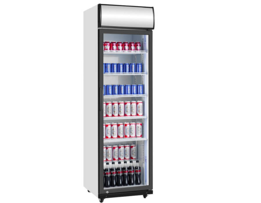 Szafa chłodnicza przeszklona | 388L